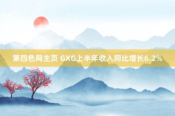 第四色网主页 GXG上半年收入同比增长6.2%