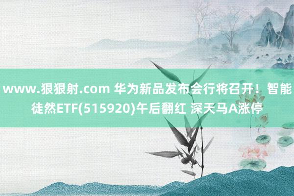 www.狠狠射.com 华为新品发布会行将召开！智能徒然ETF(515920)午后翻红 深天马A涨停