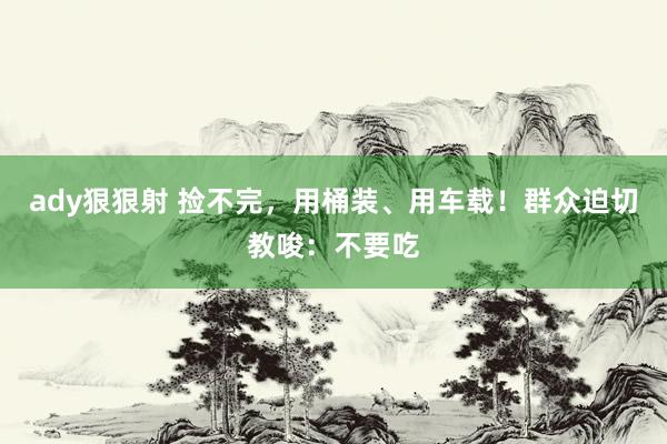 ady狠狠射 捡不完，用桶装、用车载！群众迫切教唆：不要吃