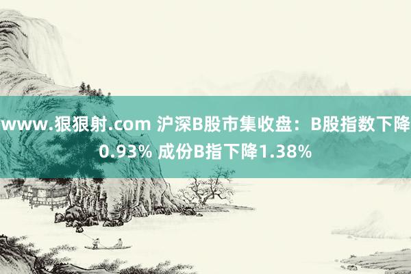 www.狠狠射.com 沪深B股市集收盘：B股指数下降0.93% 成份B指下降1.38%