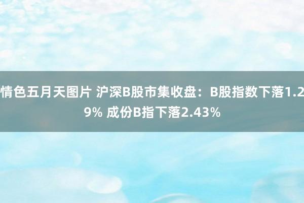 情色五月天图片 沪深B股市集收盘：B股指数下落1.29% 成份B指下落2.43%