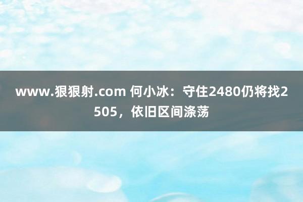 www.狠狠射.com 何小冰：守住2480仍将找2505，依旧区间涤荡