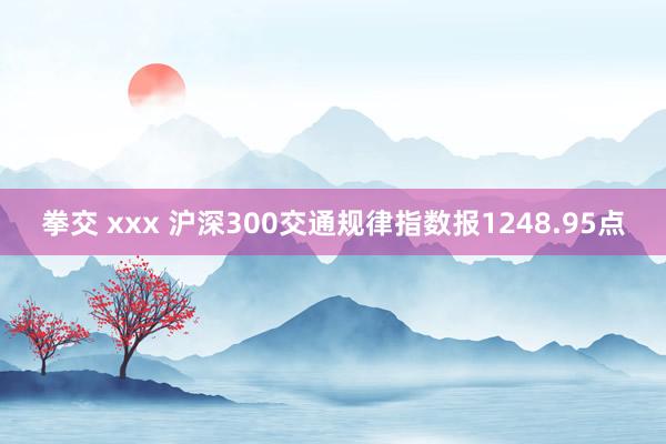 拳交 xxx 沪深300交通规律指数报1248.95点