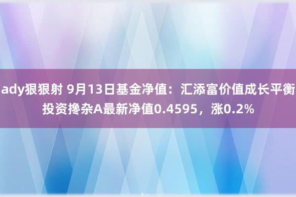 ady狠狠射 9月13日基金净值：汇添富价值成长平衡投资搀杂A最新净值0.4595，涨0.2%