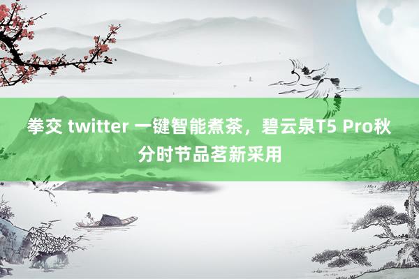 拳交 twitter 一键智能煮茶，碧云泉T5 Pro秋分时节品茗新采用