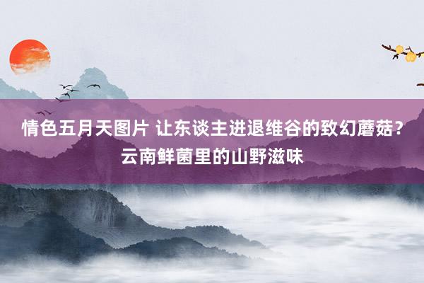 情色五月天图片 让东谈主进退维谷的致幻蘑菇？云南鲜菌里的山野滋味