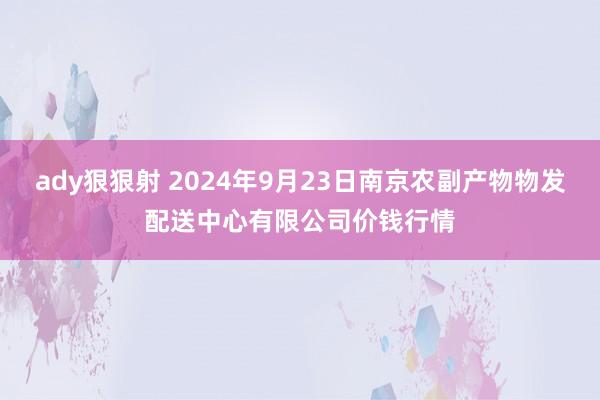 ady狠狠射 2024年9月23日南京农副产物物发配送中心有限公司价钱行情