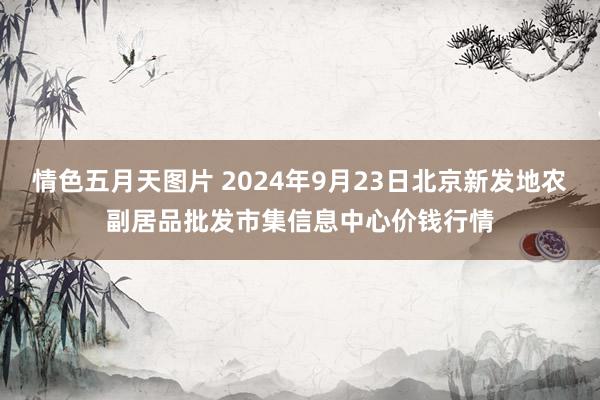 情色五月天图片 2024年9月23日北京新发地农副居品批发市集信息中心价钱行情