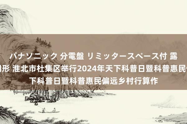 パナソニック 分電盤 リミッタースペース付 露出・半埋込両用形 淮北市杜集区举行2024年天下科普日暨科普惠民偏远乡村行算作