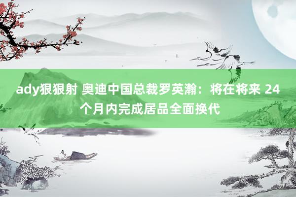 ady狠狠射 奥迪中国总裁罗英瀚：将在将来 24 个月内完成居品全面换代