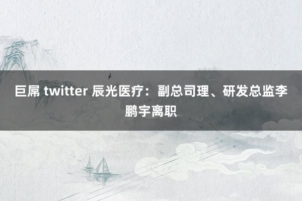 巨屌 twitter 辰光医疗：副总司理、研发总监李鹏宇离职