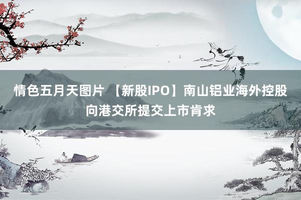 情色五月天图片 【新股IPO】南山铝业海外控股向港交所提交上市肯求