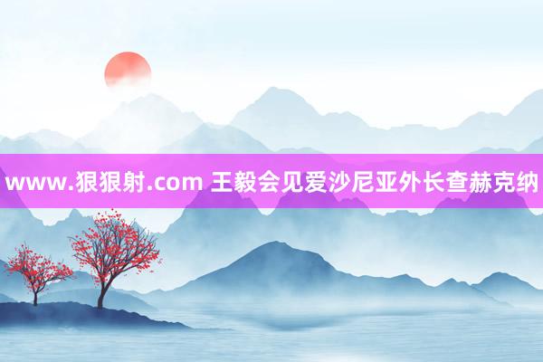 www.狠狠射.com 王毅会见爱沙尼亚外长查赫克纳