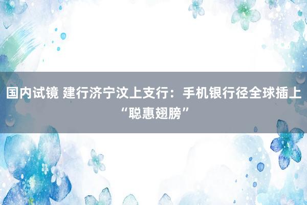 国内试镜 建行济宁汶上支行：手机银行径全球插上“聪惠翅膀”