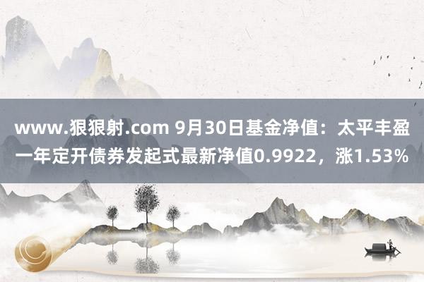 www.狠狠射.com 9月30日基金净值：太平丰盈一年定开债券发起式最新净值0.9922，涨1.53%