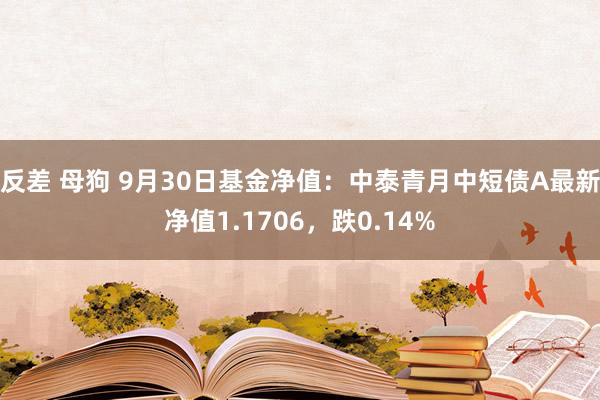 反差 母狗 9月30日基金净值：中泰青月中短债A最新净值1.1706，跌0.14%