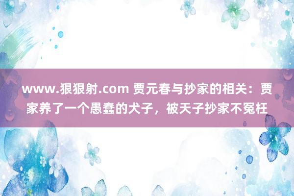 www.狠狠射.com 贾元春与抄家的相关：贾家养了一个愚蠢的犬子，被天子抄家不冤枉