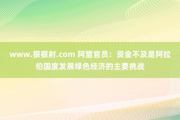 www.狠狠射.com 阿盟官员：资金不及是阿拉伯国度发展绿色经济的主要挑战