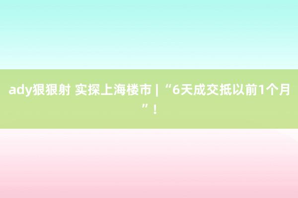 ady狠狠射 实探上海楼市 | “6天成交抵以前1个月”！