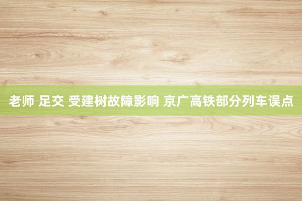 老师 足交 受建树故障影响 京广高铁部分列车误点