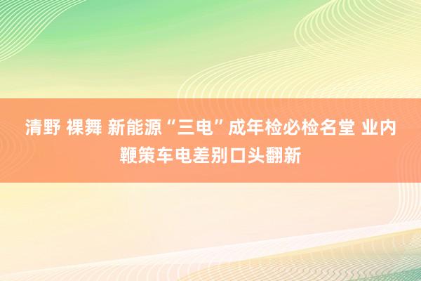 清野 裸舞 新能源“三电”成年检必检名堂 业内鞭策车电差别口头翻新