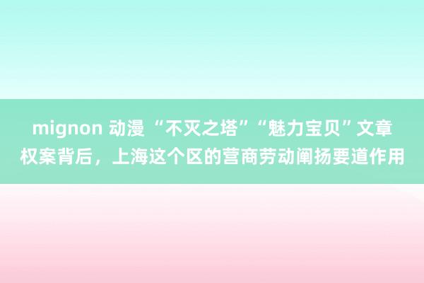 mignon 动漫 “不灭之塔”“魅力宝贝”文章权案背后，上海这个区的营商劳动阐扬要道作用