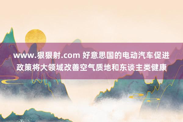 www.狠狠射.com 好意思国的电动汽车促进政策将大领域改善空气质地和东谈主类健康