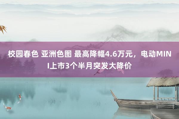 校园春色 亚洲色图 最高降幅4.6万元，电动MINI上市3个半月突发大降价