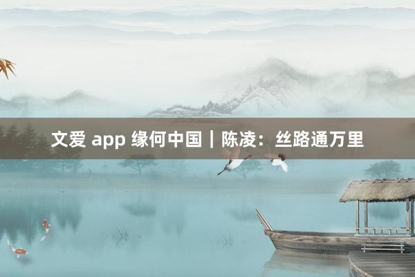 文爱 app 缘何中国｜陈凌：丝路通万里