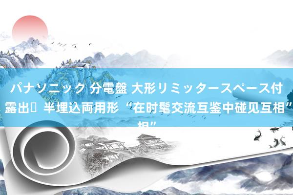 パナソニック 分電盤 大形リミッタースペース付 露出・半埋込両用形 “在时髦交流互鉴中碰见互相”