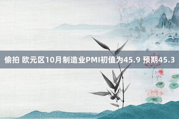 偷拍 欧元区10月制造业PMI初值为45.9 预期45.3