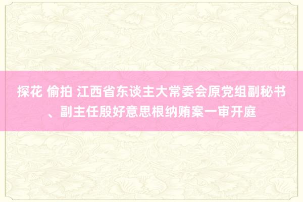 探花 偷拍 江西省东谈主大常委会原党组副秘书、副主任殷好意思根纳贿案一审开庭