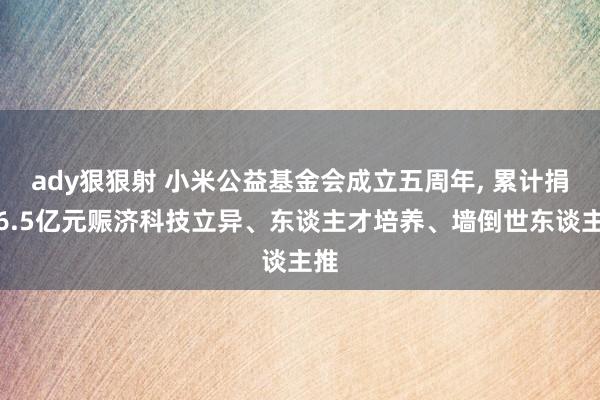 ady狠狠射 小米公益基金会成立五周年， 累计捐赠6.5亿元赈济科技立异、东谈主才培养、墙倒世东谈主推