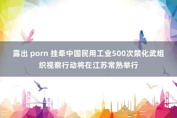 露出 porn 挂牵中国民用工业500次禁化武组织视察行动将在江苏常熟举行