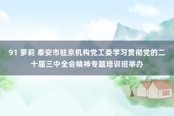 91 萝莉 泰安市驻京机构党工委学习贯彻党的二十届三中全会精神专题培训班举办