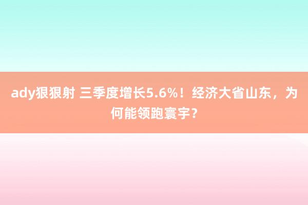 ady狠狠射 三季度增长5.6%！经济大省山东，为何能领跑寰宇？