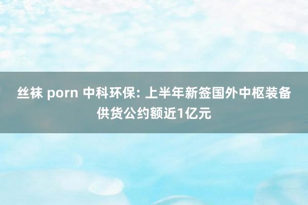 丝袜 porn 中科环保: 上半年新签国外中枢装备供货公约额近1亿元