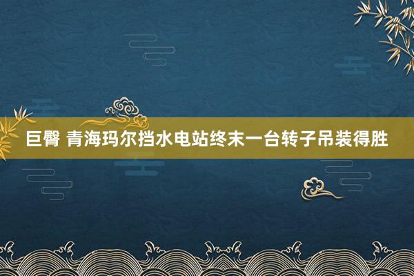 巨臀 青海玛尔挡水电站终末一台转子吊装得胜