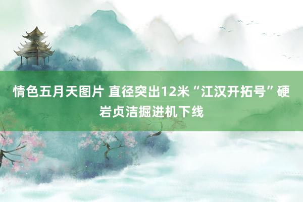 情色五月天图片 直径突出12米“江汉开拓号”硬岩贞洁掘进机下线