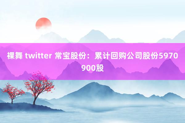 裸舞 twitter 常宝股份：累计回购公司股份5970900股