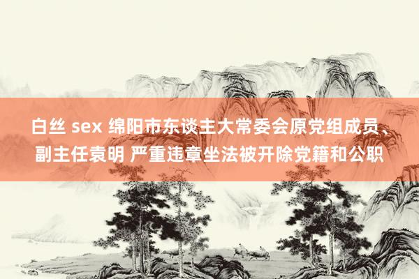 白丝 sex 绵阳市东谈主大常委会原党组成员、副主任袁明 严重违章坐法被开除党籍和公职