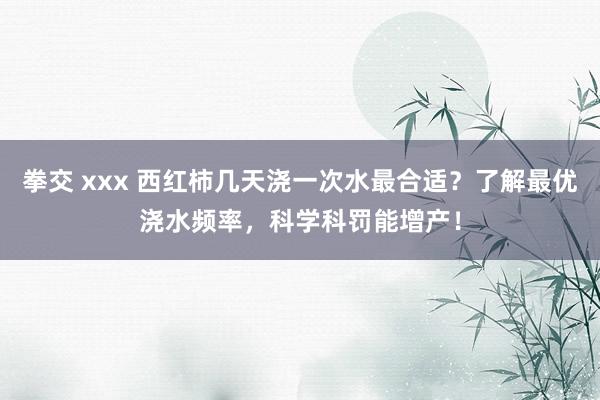 拳交 xxx 西红柿几天浇一次水最合适？了解最优浇水频率，科学科罚能增产！