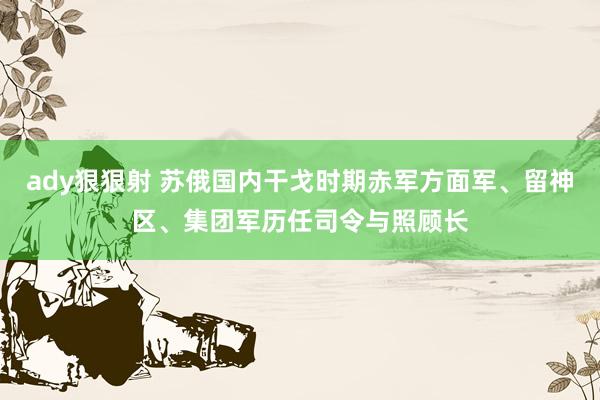 ady狠狠射 苏俄国内干戈时期赤军方面军、留神区、集团军历任司令与照顾长