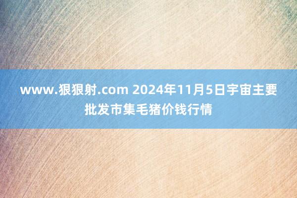 www.狠狠射.com 2024年11月5日宇宙主要批发市集毛猪价钱行情