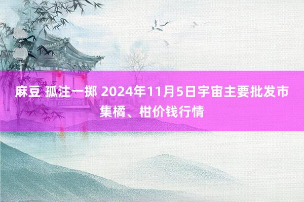 麻豆 孤注一掷 2024年11月5日宇宙主要批发市集橘、柑价钱行情