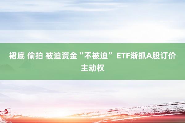 裙底 偷拍 被迫资金“不被迫” ETF渐抓A股订价主动权