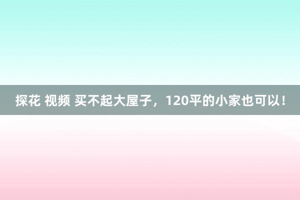 探花 视频 买不起大屋子，120平的小家也可以！