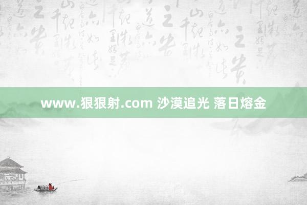 www.狠狠射.com 沙漠追光 落日熔金