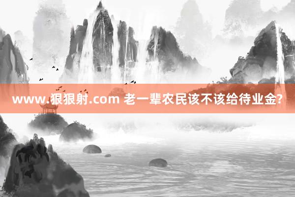 www.狠狠射.com 老一辈农民该不该给待业金?