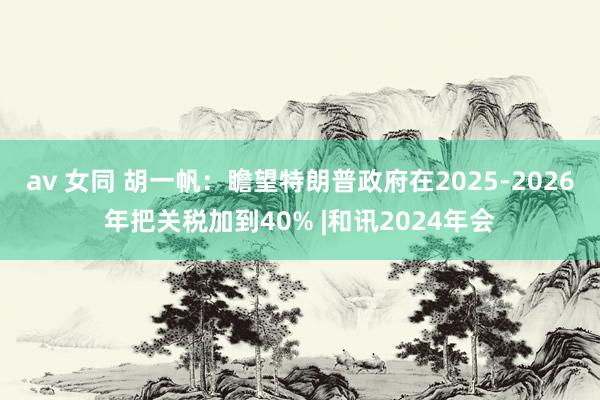 av 女同 胡一帆：瞻望特朗普政府在2025-2026年把关税加到40% |和讯2024年会